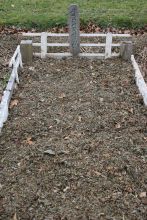 Asparagus Bed